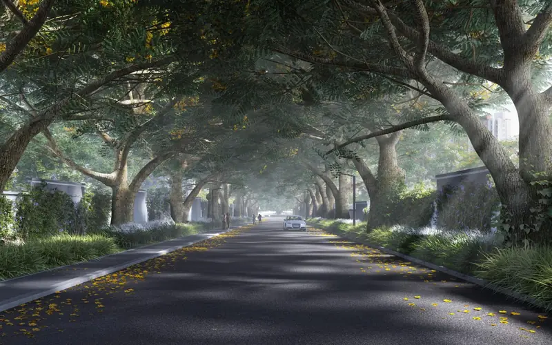Provident Botanico: Tree-lined avenue