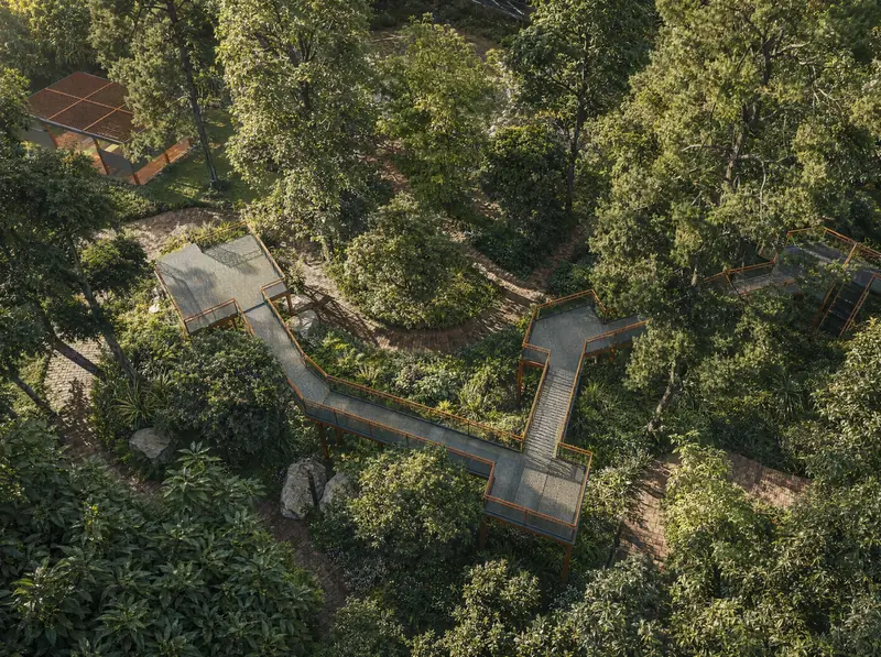 Purva Silversky: Aerial view of the mini-forest walkway